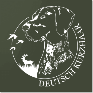 Deutsch Kurzhaar dog portrait Posters and Art